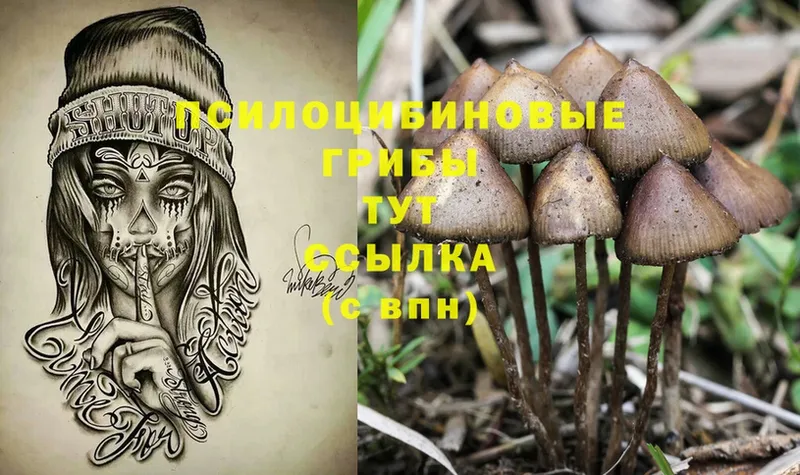 darknet как зайти  Борисоглебск  Галлюциногенные грибы MAGIC MUSHROOMS  blacksprut ссылка 